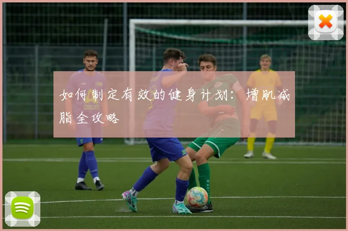 如何制定有效的健身计划：增肌减脂全攻略