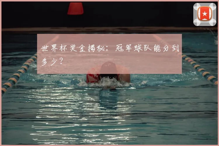世界杯奖金揭秘：冠军球队能分到多少？